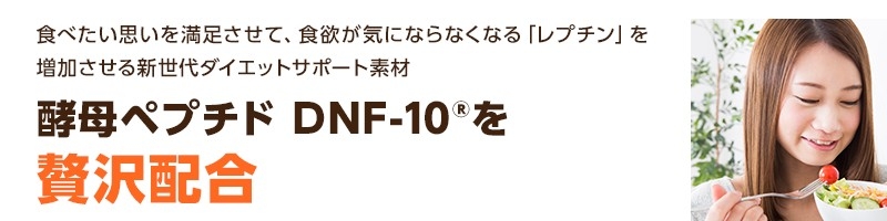 �y��ƍ����I�̃_�C�G�b�g�T�v�����T�C�g